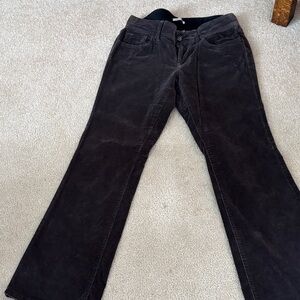 Banana Republic Dark Blue Flare Corduroy